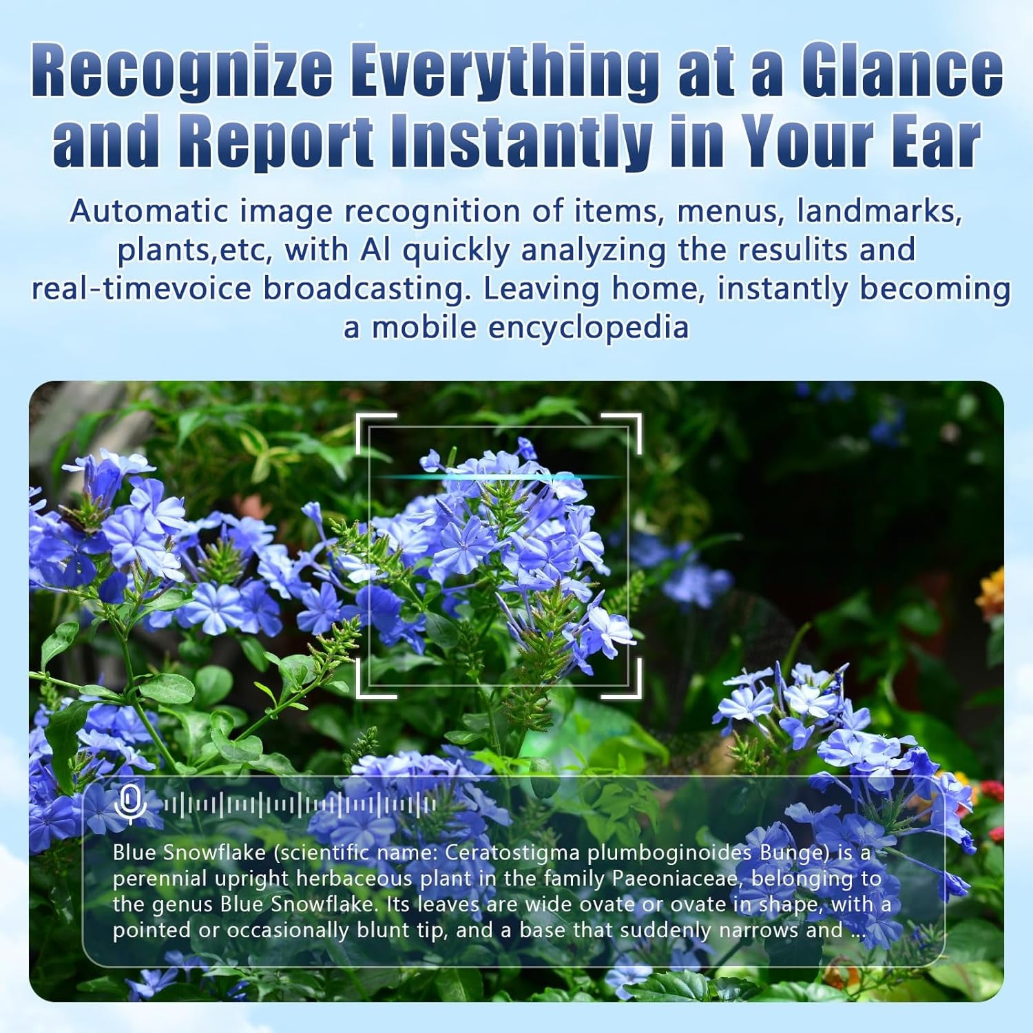 AI Smart Glasses with Camera 2000W AI Real-Time Translation, Bluetooth Audio – Smart Glasses with Camera, ( M01 Pro)