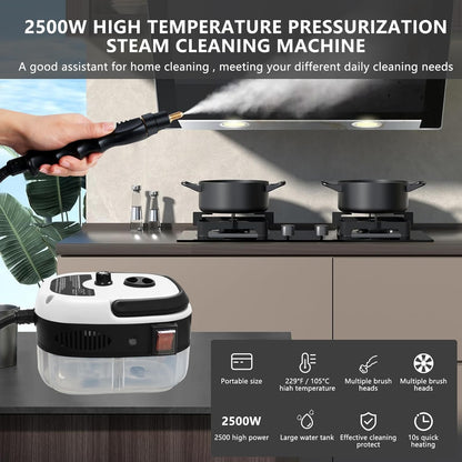 High Pressure Steam Cleaning Machine for Home