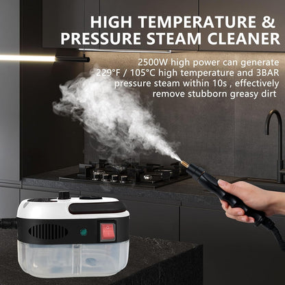 High Pressure Steam Cleaning Machine for Home