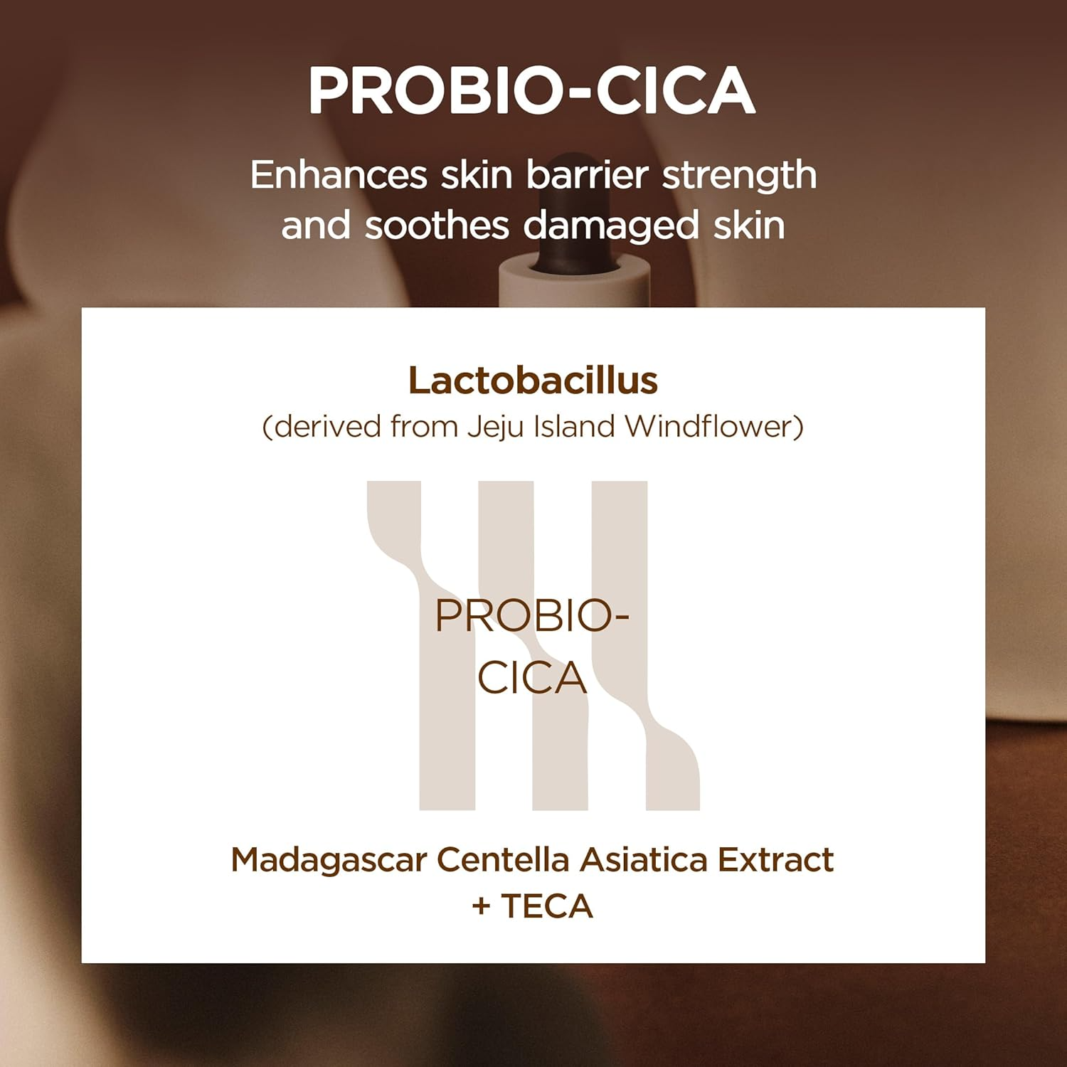 🌱 SKIN1004 Madagascar Centella Probio-Cica Intensive Ampoule – 50ml